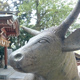平野神社の牛